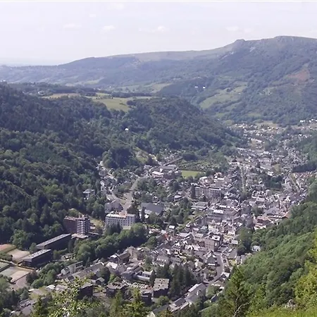 F2 Bis Au Mont-dore, 200m Du Centre Et Thermes, Parking Prive, Animaux Acceptes, 6 Couchages - Fr-1-415-69