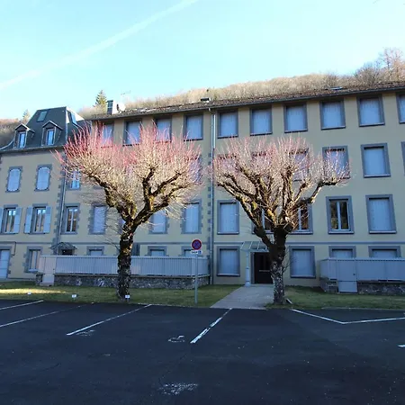 Apartment F2 Bis Au Mont-dore, 200m Du Centre Et Thermes, Parking Prive, Animaux Acceptes, 6 Couchages - Fr-1-415-69 *